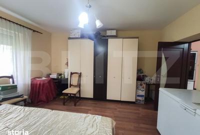 Casă cu 3 camere cu Teren 24000 Mp în Micula - 4