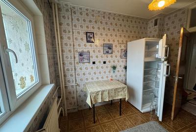 2 Camere Campia Libertatii Pet friendly - 10