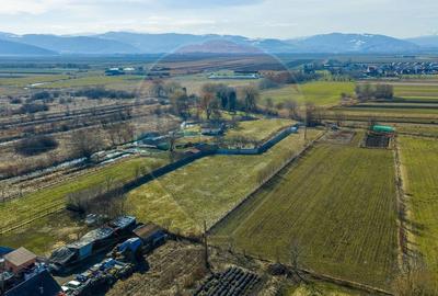 Teren agricol intravilan de 5000 mp, în Prejmer - 7