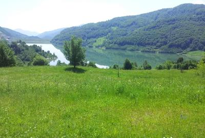 Teren de 73000 mp, în Siriu - 11