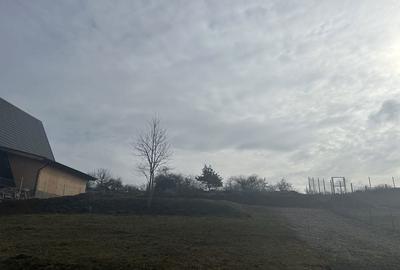 Spațiu comercial, în Central - 1