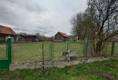 Teren de 9370 mp, în Țebea - 13