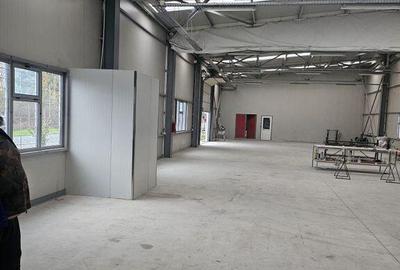 Hala 437 mp Domnesti - Pasaj - 5