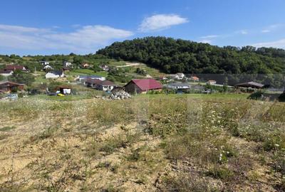 Teren extravilan, cu autorizatie de constructie casa, 875 mp - 5