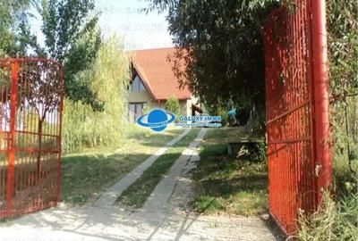 Vanzare vila P+M Targoviste, exterior sud - 18
