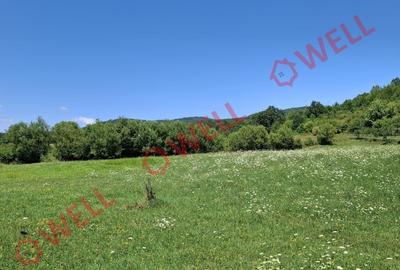 De vânzare teren intravilan de 7600 m² în Sovata, pe strada Alunei (Mogyoró). - 3