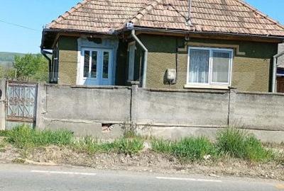 Casă cu 2 camere cu Teren 1100 Mp în Mica - 3