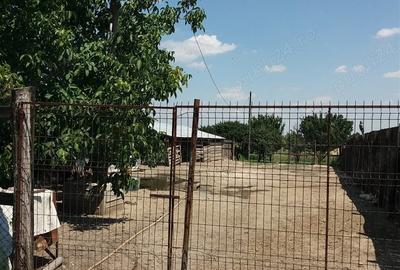 Casă cu 2 camere în Băilești - 9