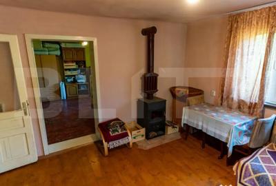 Casă cu 3 camere cu Teren 4000 Mp în Rovina (Brănișca) - 4