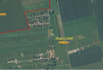 Teren intravilan 722 mp PUZ/ Posibilitate schimb imobiliar - 3