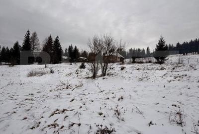 Teren de 10746 mp, în Fundu Moldovei - 2