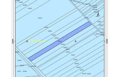 Teren agricol intravilan de 5000 mp, în Ciorogârla - 2