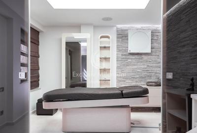 Vila/Casa Clinica /Salon de infrumusetare Lacul Tei  / Parcul Circului birouri - 13