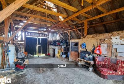 Casă cu 3 camere cu Teren 3724 Mp în Apa - 4