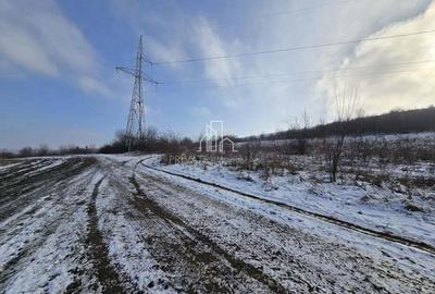 Teren arabil extravilan 21.700 Mp - 5