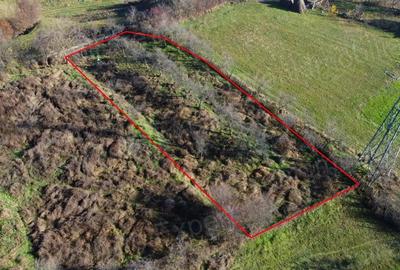 Teren de vanzare in Curtea de Arge?. - 3