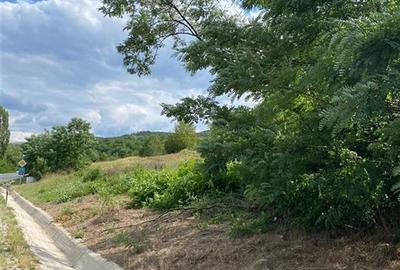 RECO Teren Extravilan Bratesti - 2