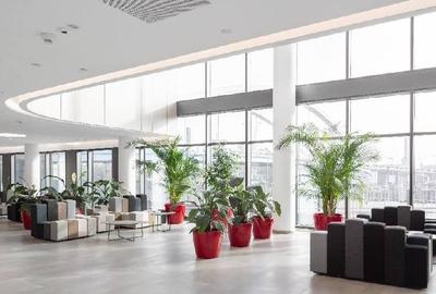 Orhideea Towers, Grozavesti, 510 mp  0% comision! - 7