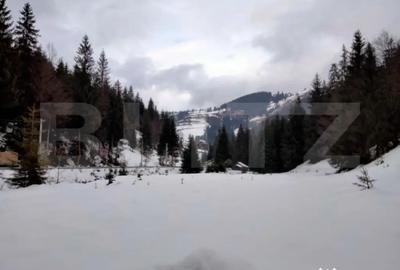 Casă cu 5 camere cu Teren 350 Mp în Deal - 13