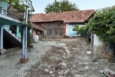 Vand casa parter+ etaj in Pauca la soseaua principala! - 3