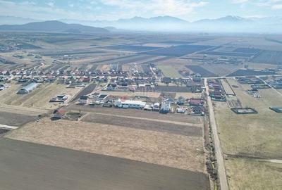 Teren Extravilan, P.U.Z. inceput - 4