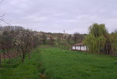 Apartament cu 3 camere , decomandat , cu 2160 mp teren intra - 3