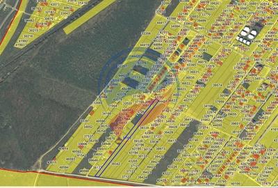 Teren Construcții intravilan de 4822 mp, în Malu Mare - 2