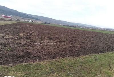 Teren de 3000 mp, în Central - 1