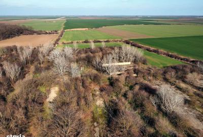 Spațiu comercial, în Nuci - 17