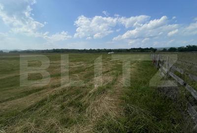 Teren extravilan 1200 mp Dorolea, aproape de Manastire - 3