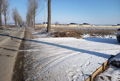 Teren intravilan 10.000 mp - 2