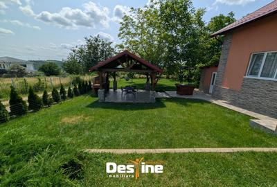 Casă individuală cu 5 camere în Valea Adâncă