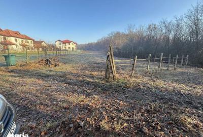 Teren de 3676 mp, în Păulești - 3