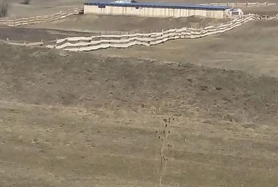 Teren de 7400 mp, în Jibert - 1