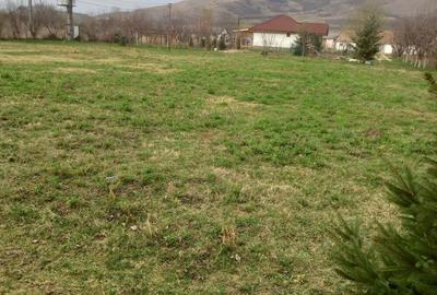 Teren de 2800 mp, în Blaj - 3