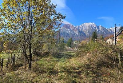 Teren intravilan cu vedere spectaculoasa spre Crucea Car... - 5
