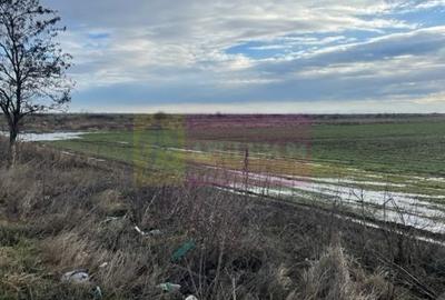 Teren agricol extravilan de 24108 mp, în Sud-Vest - 3