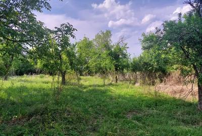 Teren de 7400 mp, în Fierbinți-Târg - 1