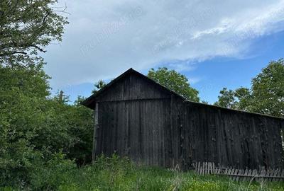 Casă cu 5 camere în Central - 2