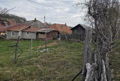 Casă cu Teren 932 Mp în Cracu Muntelui - 2
