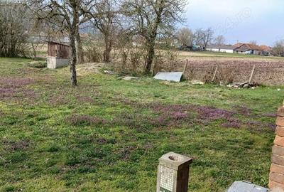 Casă cu 3 camere cu Teren 3222 Mp în Bretea Mureșană - 5