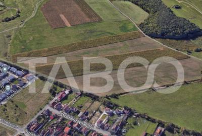 Teren extravilan 4200 mp in Sibiu zona Turnisor - 6