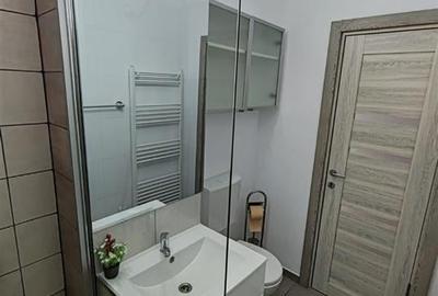 Apartament cu 2 camere, zona Vlahuta ITC, mobilat si utilat - 12