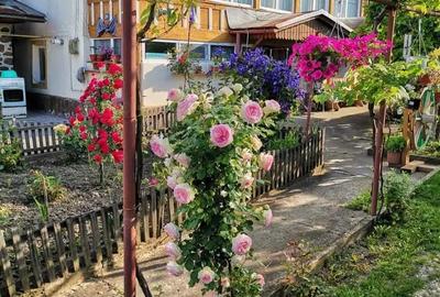 Casă cu 3 camere în Bâlteni - 4