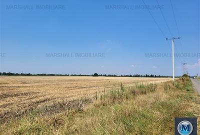 Teren Construcții intravilan de 9903 mp, în Exterior Sud - 4