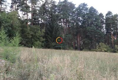 Teren de 1195 mp, în Central - 2