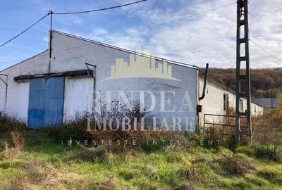 Ferma formata din 3 spatii generoase- iesire spre Autostrada A1 - 3