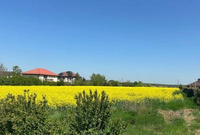 Teren intravilan 26.300 mp Saftica Balotesti - PUZ în lucru - 21