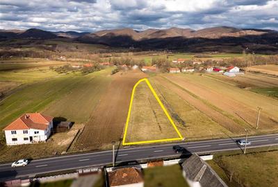 Teren Construcții intravilan de 2900 mp, în Borod - 4