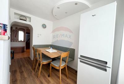 Apartament spatios de vanzare in zona turistica - Sinteu, Bihor - 22